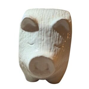 Redrock Traditions Ceramic Piggy‎ Bank White Textured with Chalk Board Sides